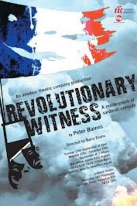 Revolutionary Witness (1989) movie poster
