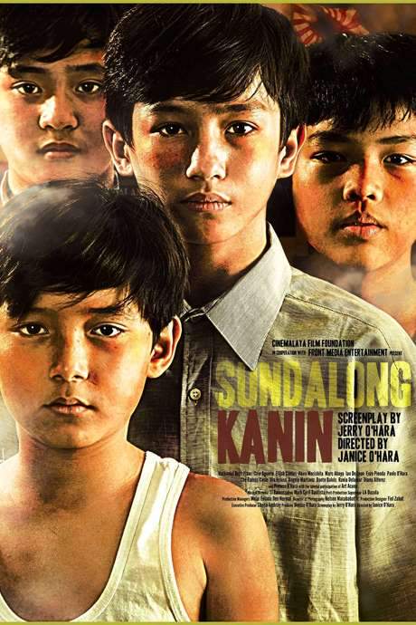 Rice Soldiers (2014) movie poster