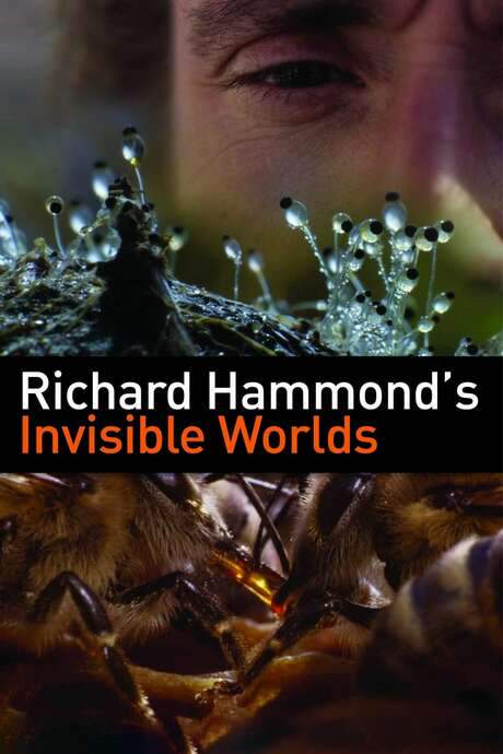 Richard Hammond’s Invisible Worlds (2010) movie poster