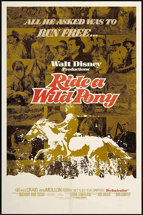 Ride a Wild Pony (1975) movie poster