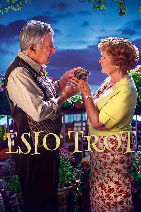 Roald Dahl’s Esio Trot (2015) movie poster