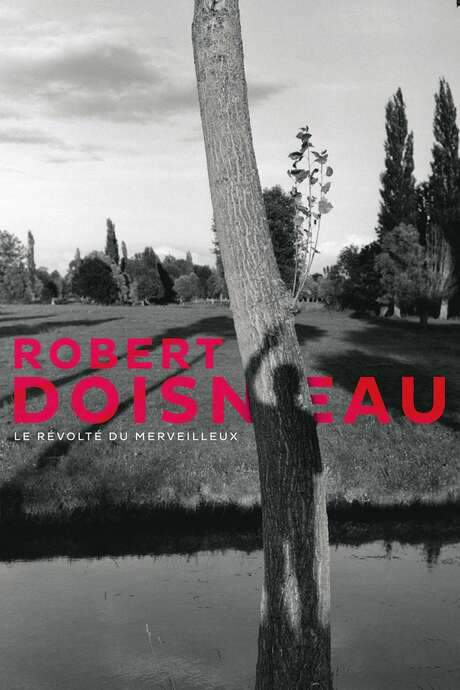 Robert Doisneau: Through the Lens (2016) movie poster