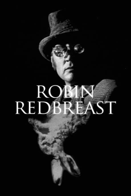Robin Redbreast (1970) movie poster