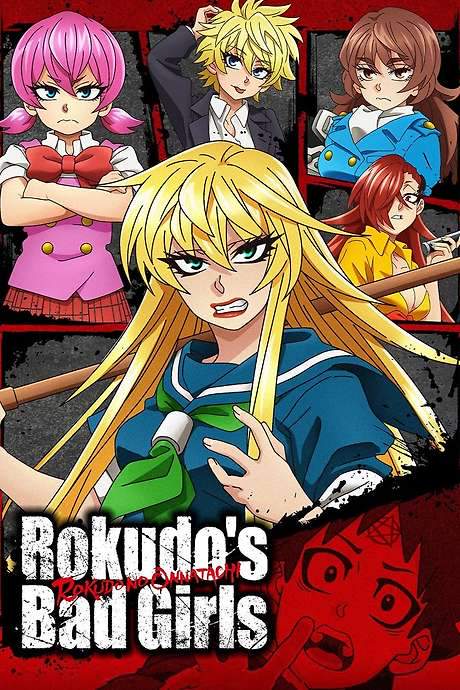 Rokudo’s Bad Girls (2023) movie poster