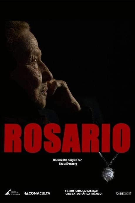This is a poignant portrayal of a woman’s life profoundly altered by the disappearance of her son in Monterrey City in 1975. Driven by her loss, she transforms into a dedicated advocate, tirelessly searching for him and dedicating her life to human rights work in Mexico. The film explores the intimate details of her journey and unwavering commitment.