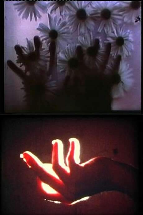 Rouges Silences (1979) movie poster