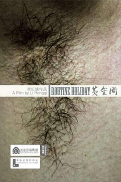 Routine Holiday (2008) movie poster