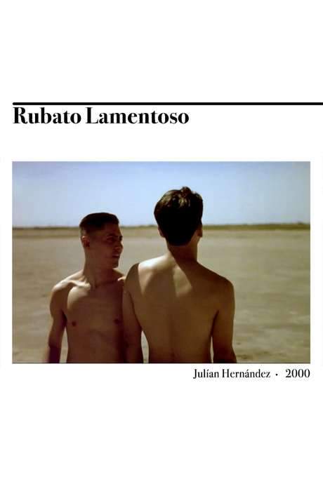 Rubato lamentoso (2000) movie poster