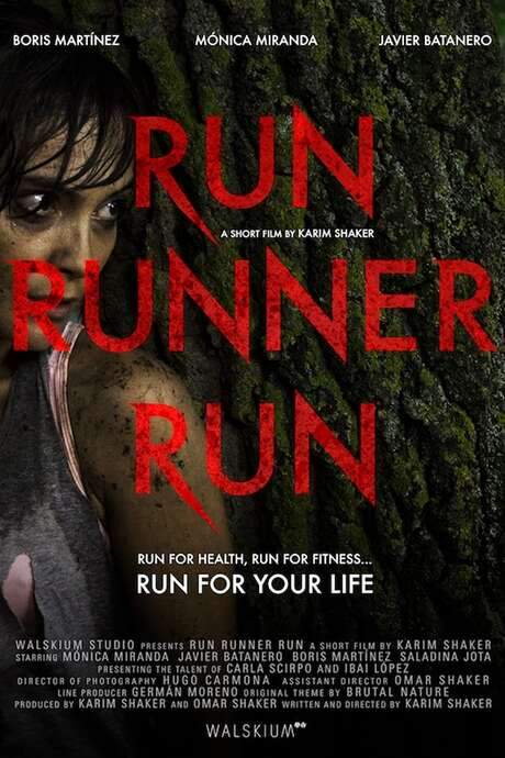 Run Runner Run (2017) movie poster