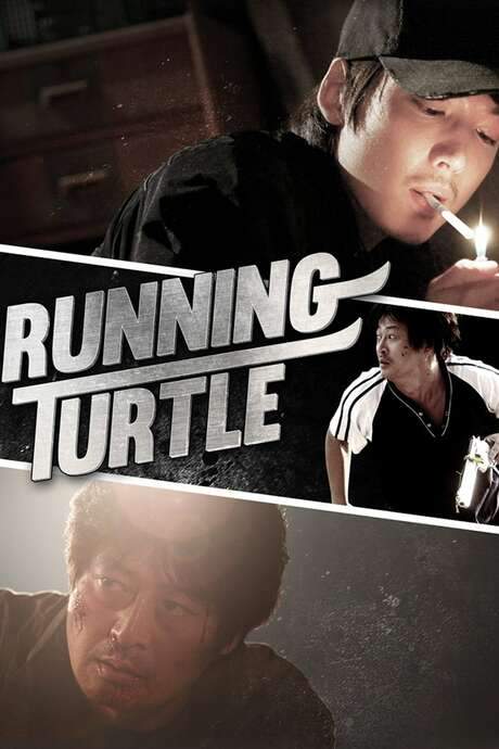 Running Turtle (2009) movie poster
