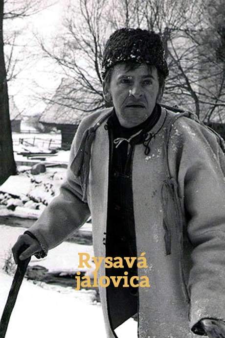 Rysavá jalovica (1971) movie poster