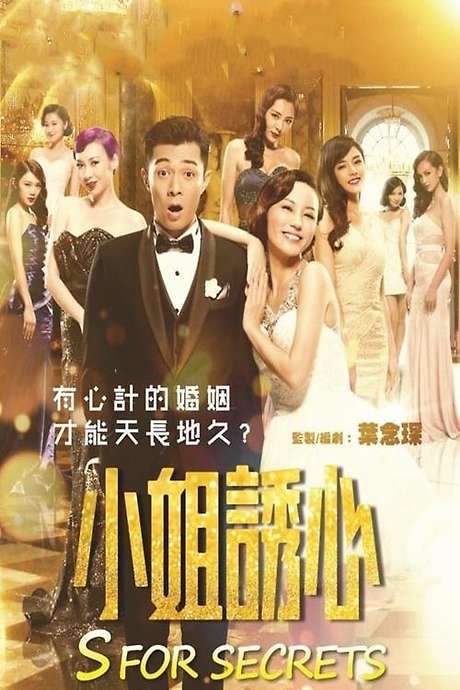 S for Sex, S for Secrets (2014) movie poster