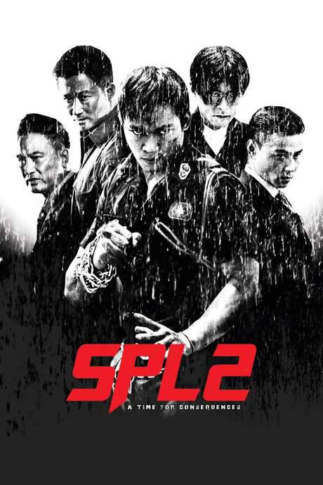 SPL 2: A Time for Consequences (2015) movie poster