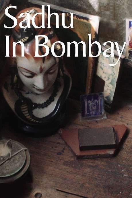 Sadhu in Bombay (2017) movie poster
