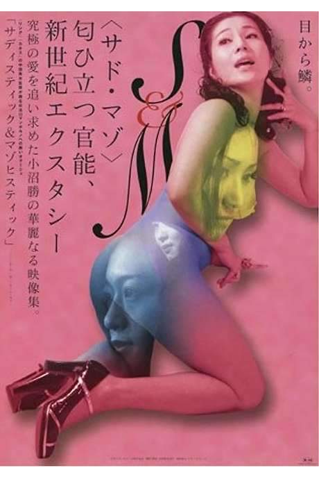 Sadistic and Masochistic (2001) movie poster