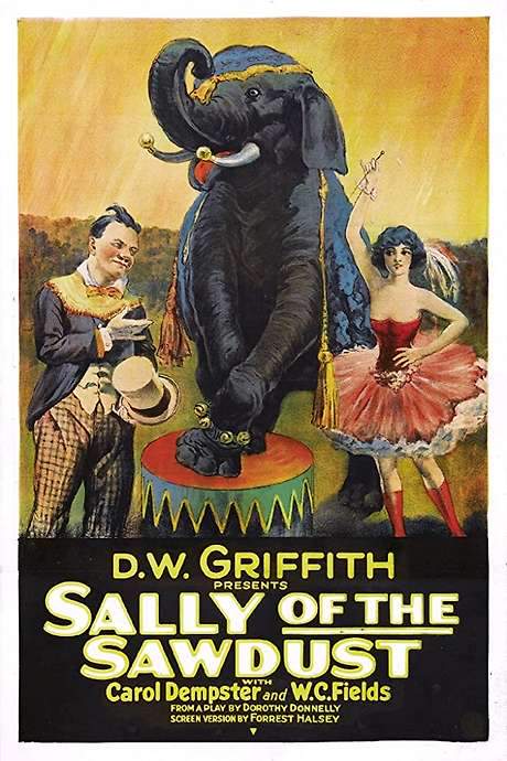 Sally of the Sawdust (1925) movie poster