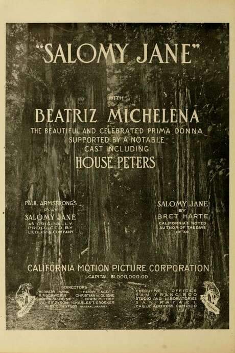 Salomy Jane (1914) movie poster