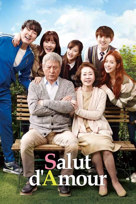 Salut d’Amour (2015) movie poster