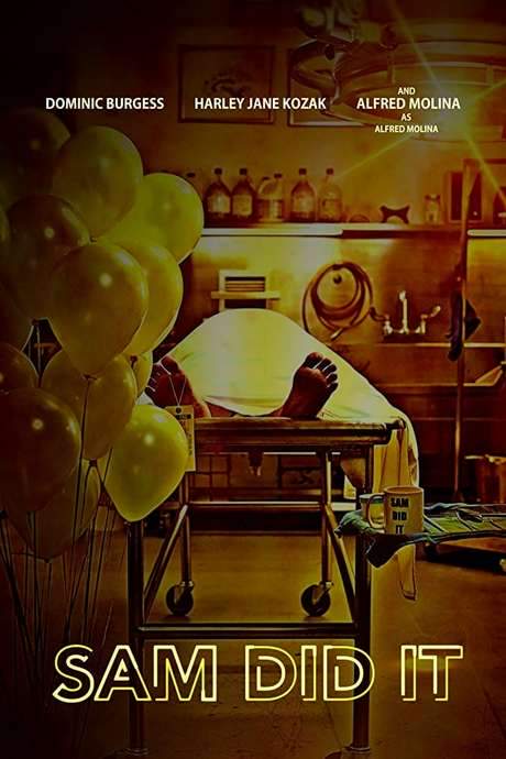 Sam Did It (2018) movie poster