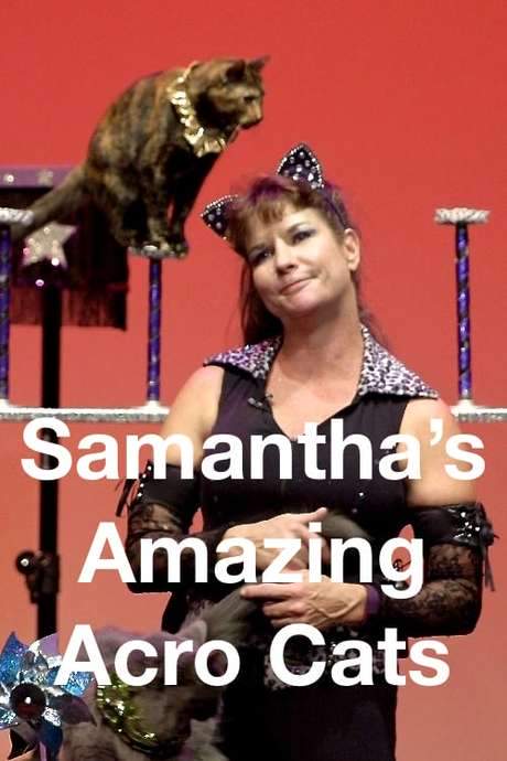 Samantha’s Amazing Acrocats (2017) movie poster