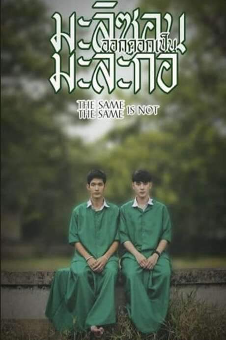 Same Same is Not the Same (2015) movie poster