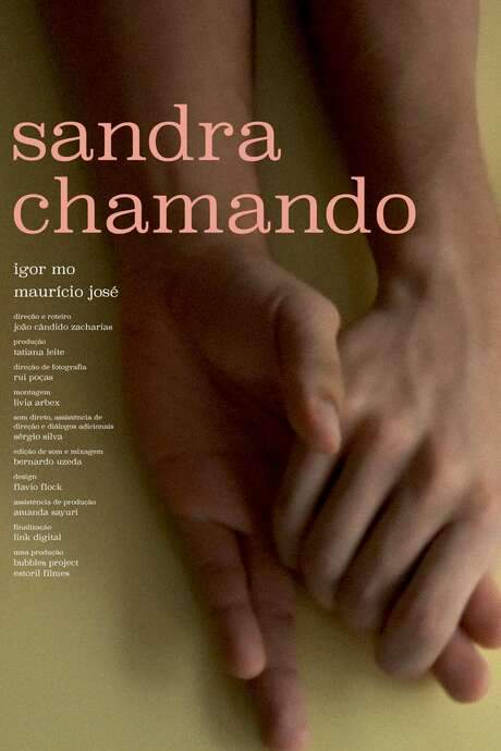 Sandra Calling (2017) movie poster