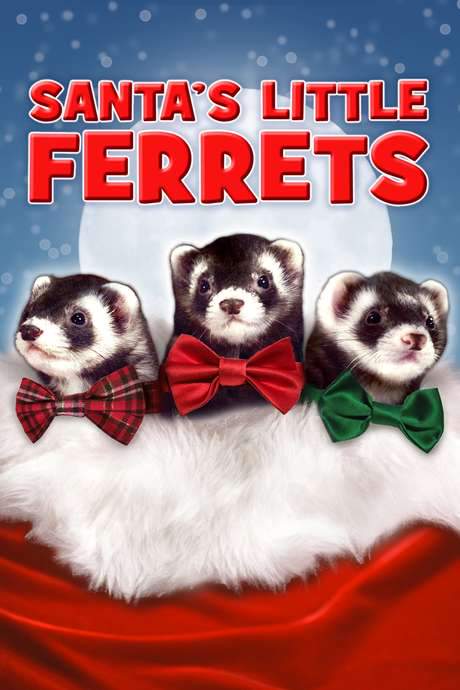 Santa’s Little Ferrets (2014) movie poster