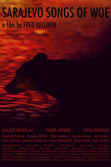 Sarajevo Songs of Woe (2016) movie poster