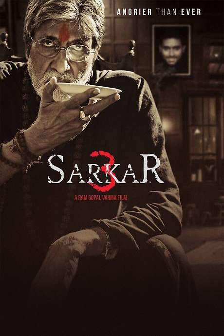 Sarkar 3 (2017) movie poster