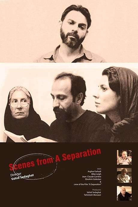 Scenes from A Separation (2018) movie poster