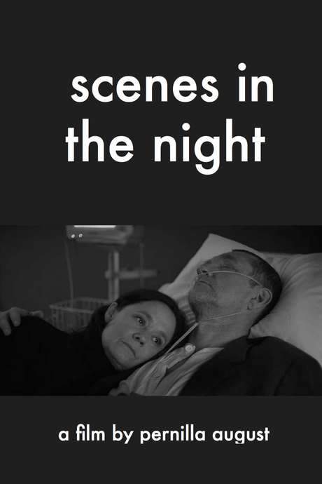 Scenes in the Night (2018) movie poster
