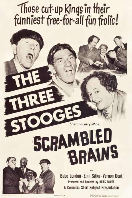 Scrambled Brains (1951) movie poster