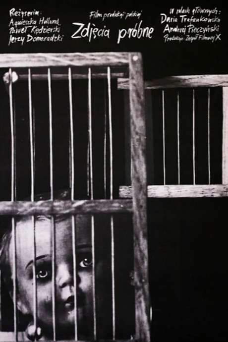 Screen Tests (1977) movie poster