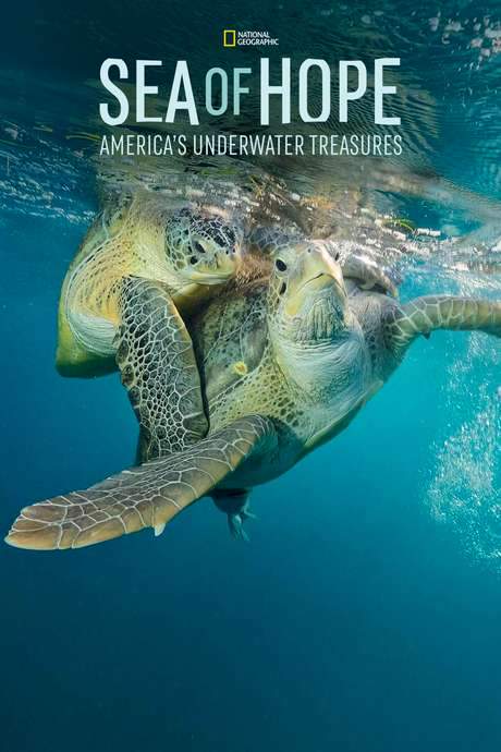 Sea of Hope: America’s Underwater Treasures (2017) movie poster