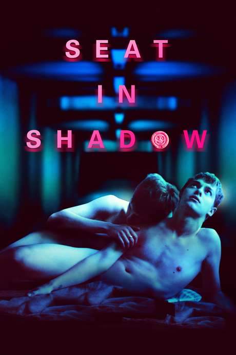 Seat in Shadow (2016) movie poster