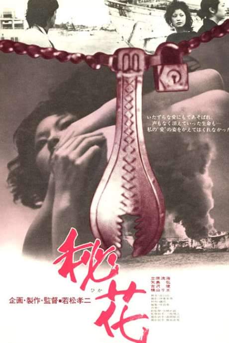 Secret Flower (1971) movie poster