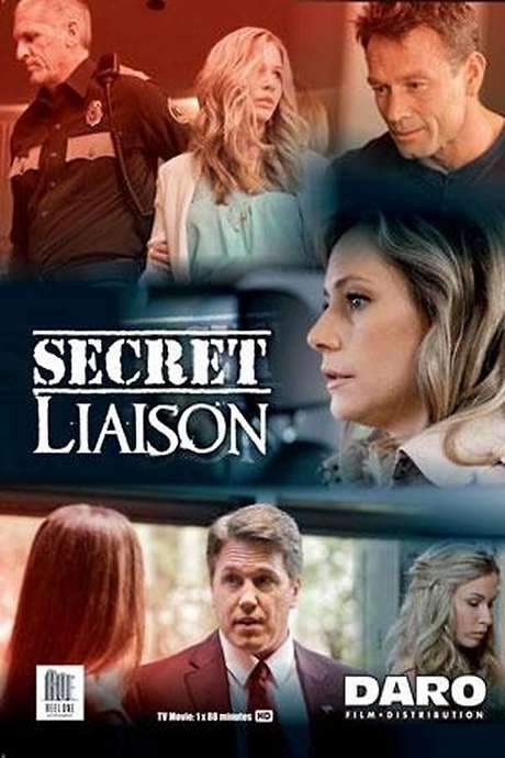 Secret Liaison (2013) movie poster