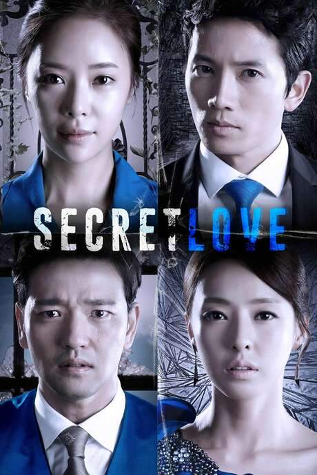 Secret Love (2013) movie poster