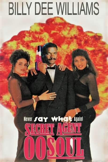 Secret Agent 00 Soul (1990) movie poster