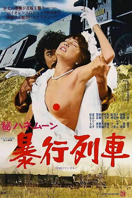 Secret Honeymoon: Assault Train (1977) movie poster