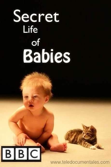 Secret Life of Babies (2014) movie poster