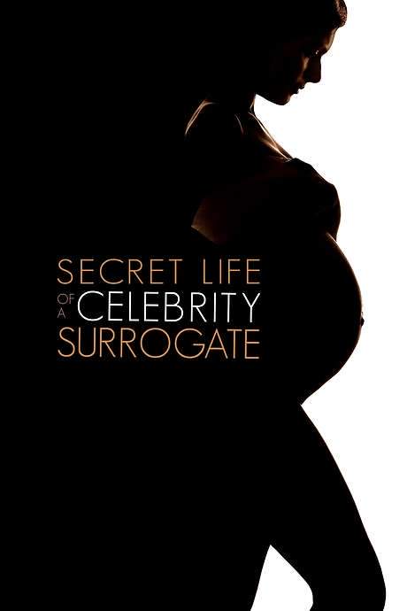 Secret Life of a Celebrity Surrogate (2020) movie poster