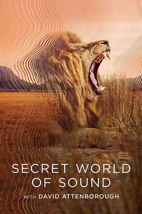 Secret World of Sound (2024) movie poster