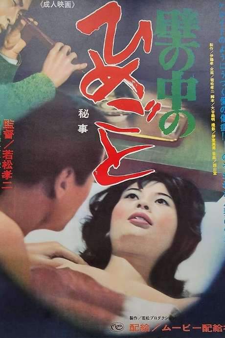 Secrets Behind the Wall (1965) movie poster