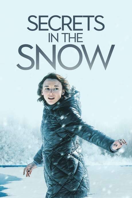 Secrets in the Snow (2020) movie poster