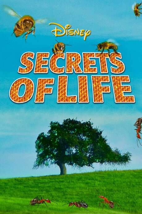 Secrets of Life (1956) movie poster
