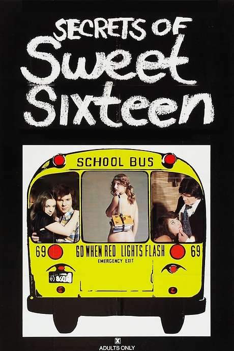 Secrets of Sweet Sixteen (1973) movie poster
