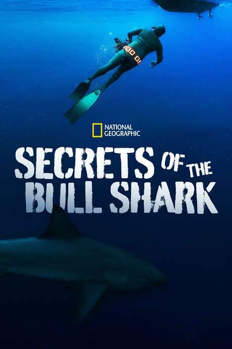 Secrets of the Bull Shark (2020) movie poster