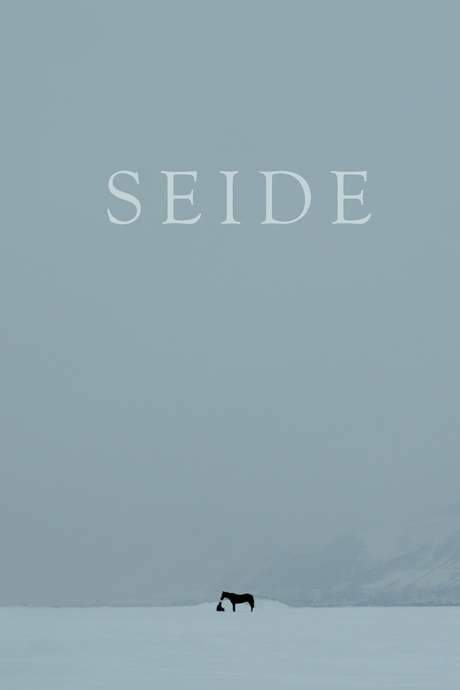 Seide