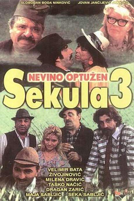 Sekula Innocent Accused (1992) movie poster